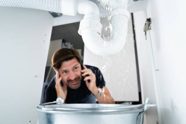 Best Commercial Plumbing Services  in Peppermill Village, MD